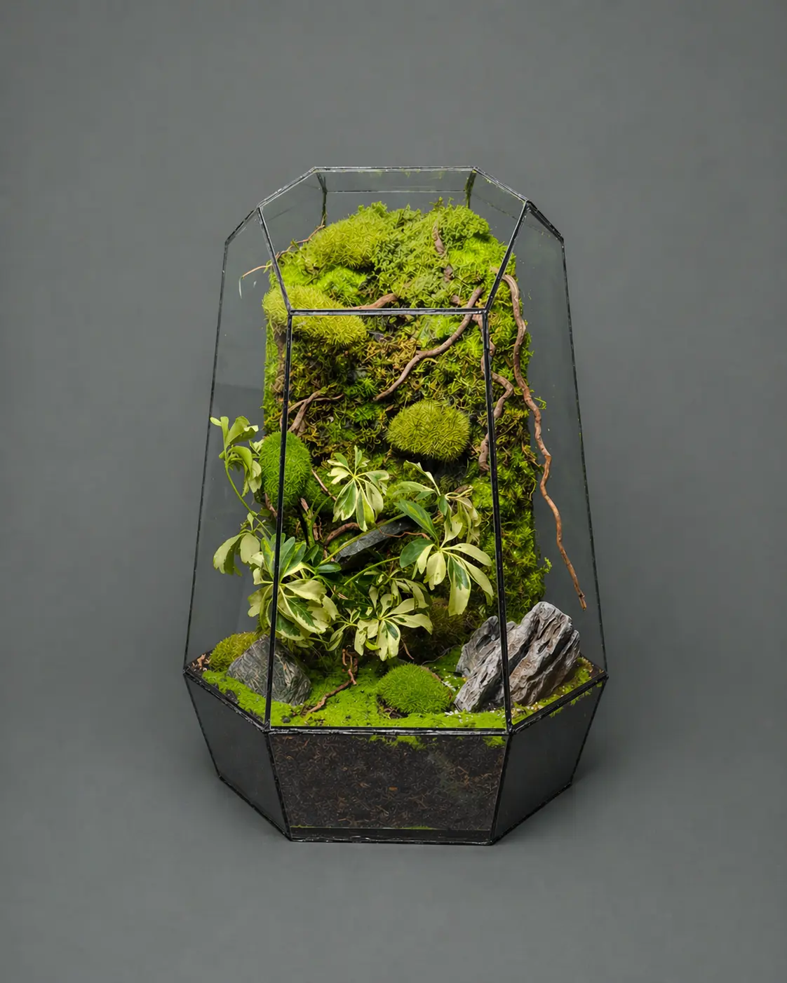 Obsidian Forest