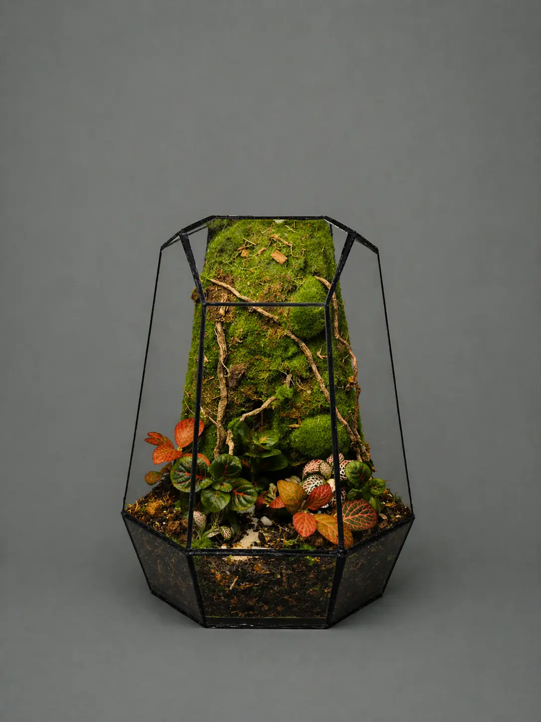 Obsidian Forest Mini