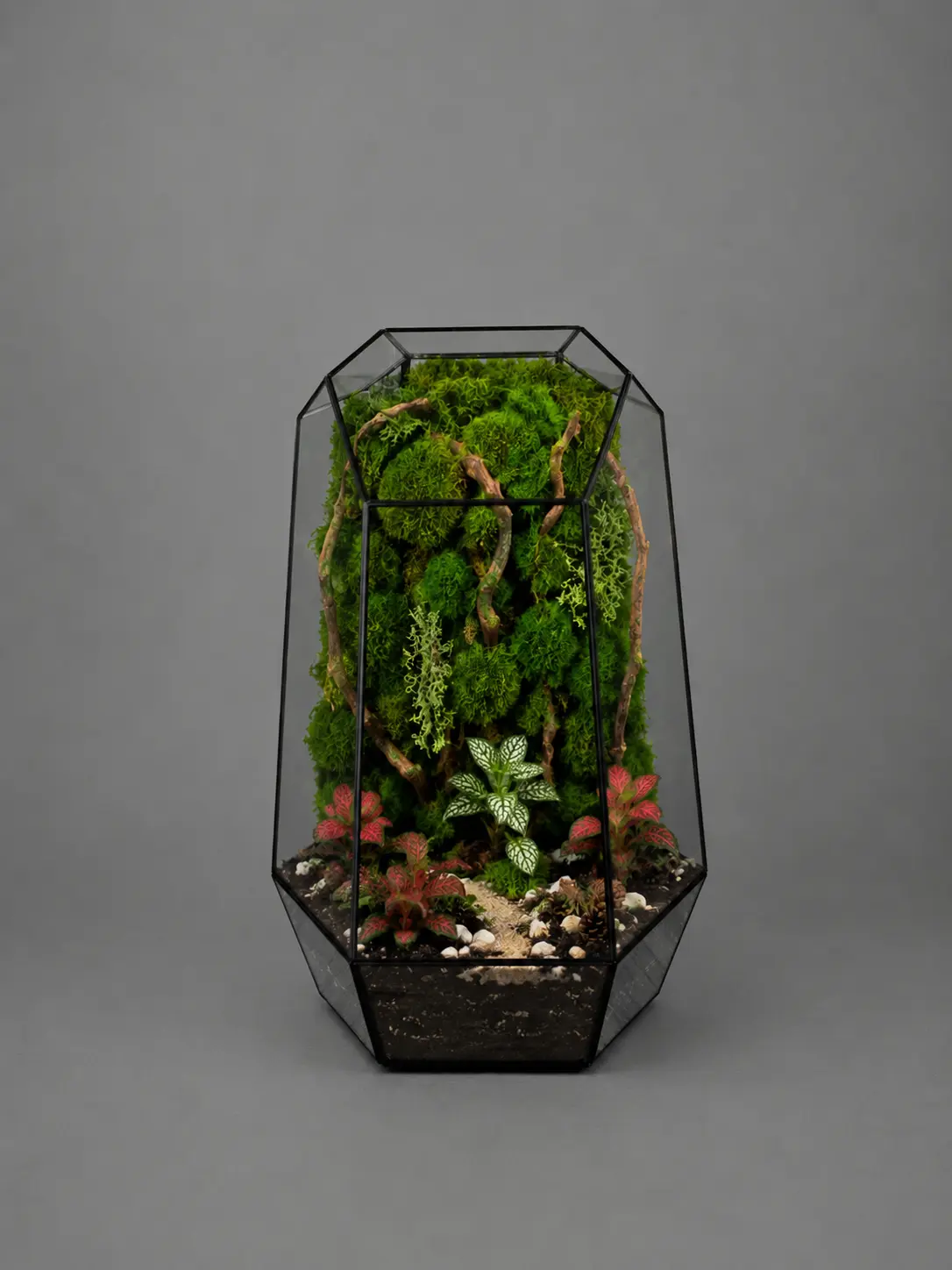Obsidian Forest Moss Peak