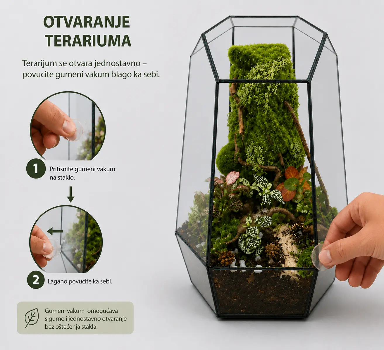 Otvaranje terarijuma